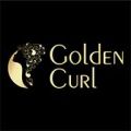 OFF 60% Golden Curl